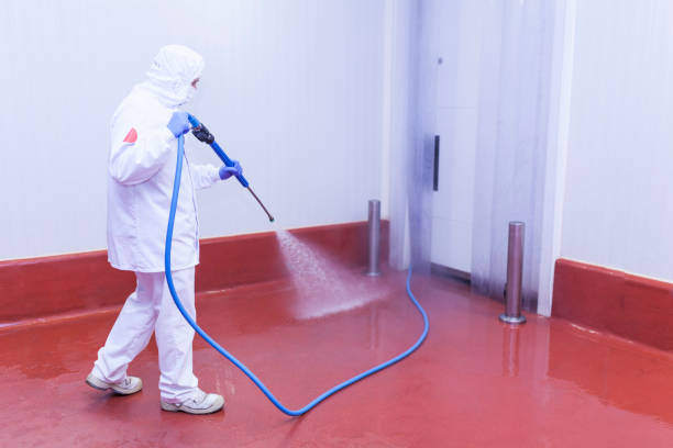 Best Factory Floor Cleaning  in Pismo Beach, CA